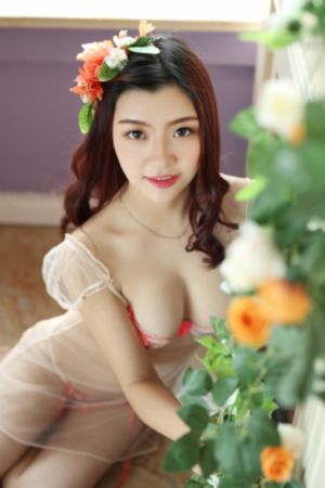 少年白马醉春风真人版电视剧