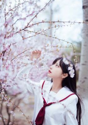 数码宝贝第一部